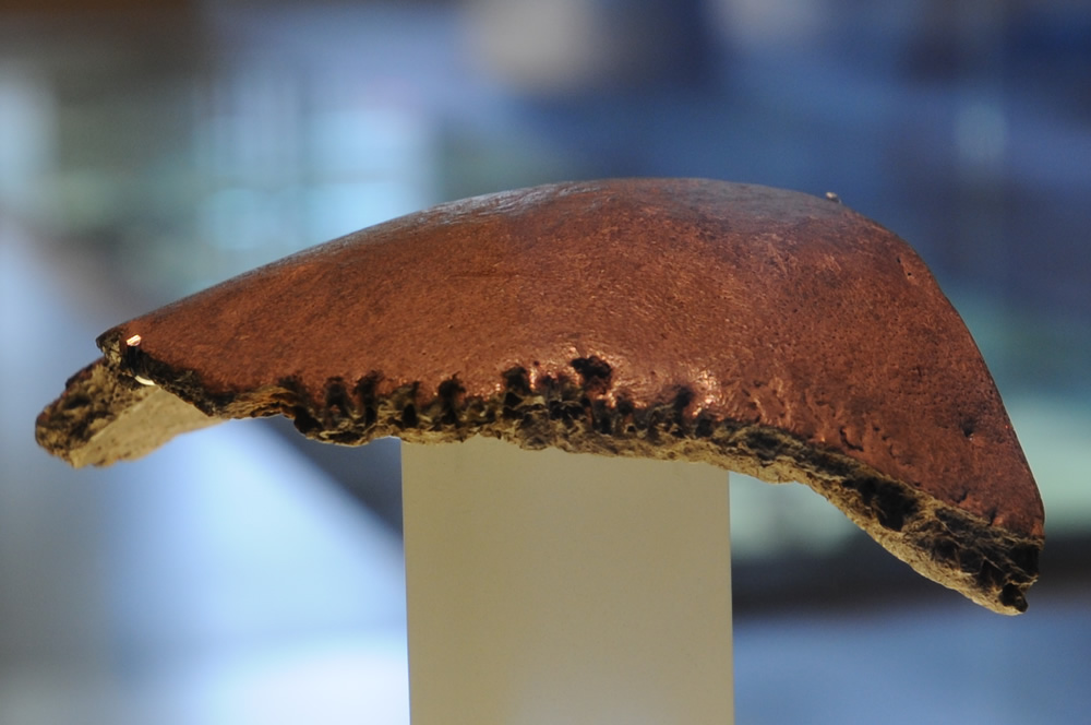 Schädelfragment eines Neandertalers 90.000–35.000 v. Chr., Warendorf-Neuwarendorf (Quelle: LWL-Museum für Archäologie / Mark Tewissen)