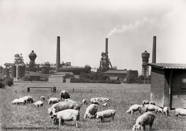Abb. 2: Werksansicht um 1960,  Quelle: ThyssenKrupp Konzernarchiv Duisburg